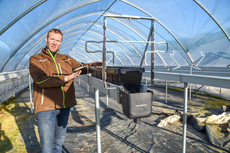 Schweinehalter stellen Betriebe um