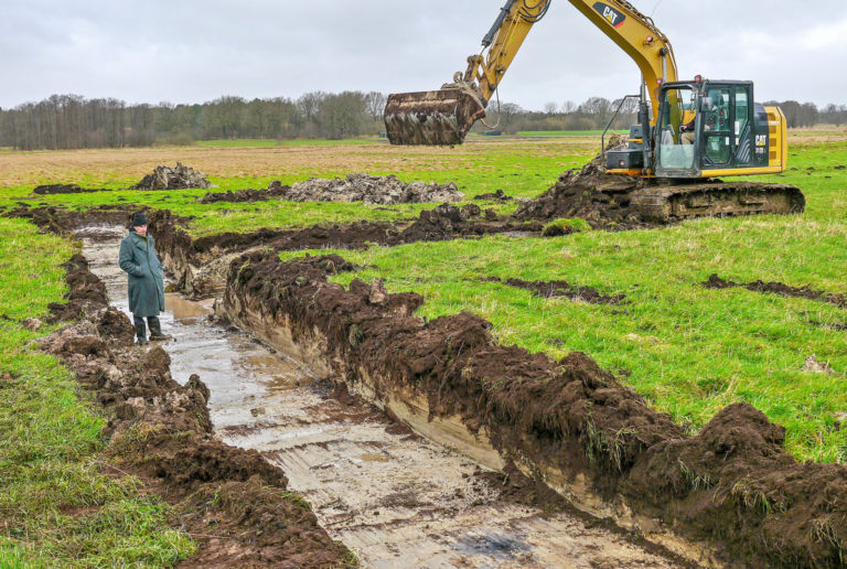 Lebensraum für Amphibien und Vögel