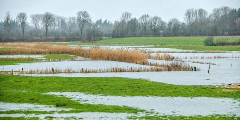 Gesamtes Land betroffen