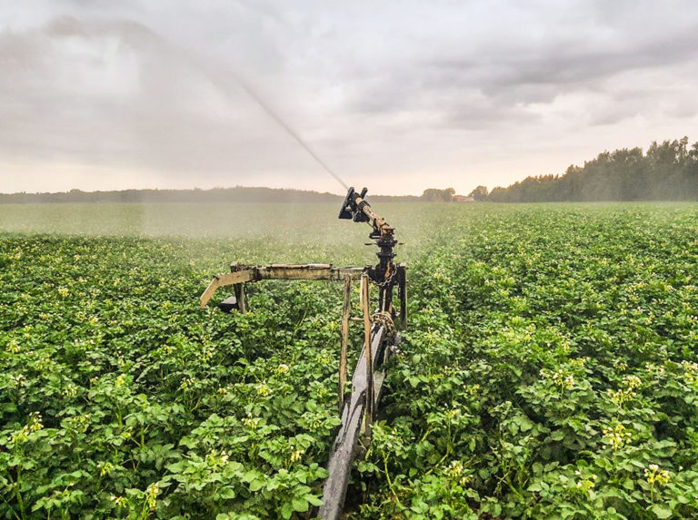 Mit Digitalisierung Wasser sparen