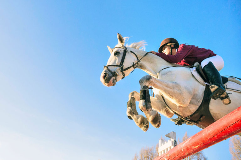 Touchieren am Sprung soll verboten werden