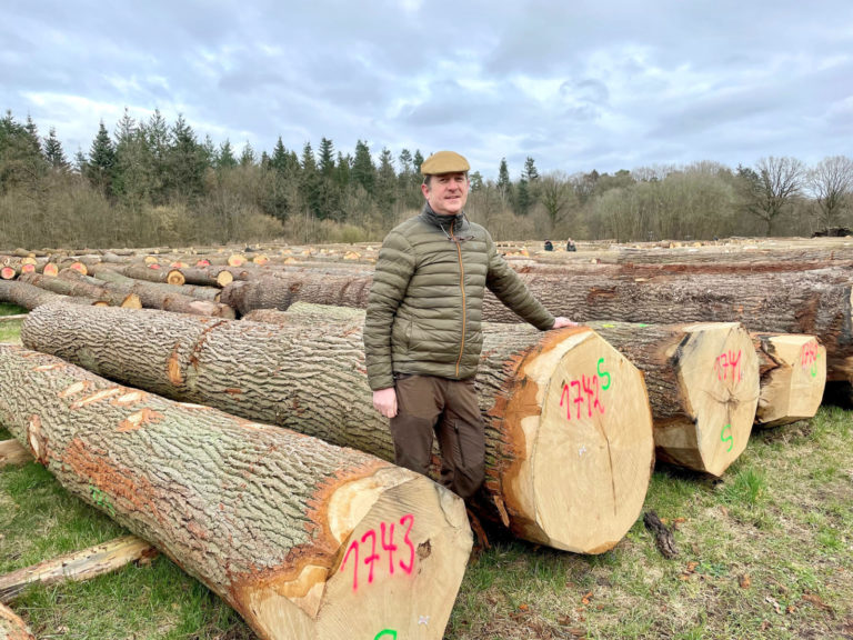 Waldbesitzer zufrieden mit Jubiläumsauktion