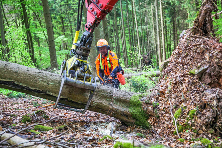 Maschinelle Windwurfaufarbeitung