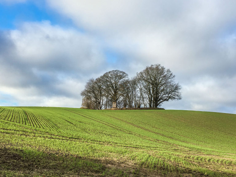 Massive Preissteigerungen belasten die Branche