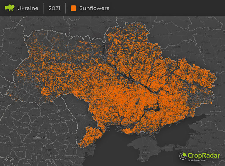 Die Ukraine ist das weltweit bedeutendste Anbauland für Sonnenblumen