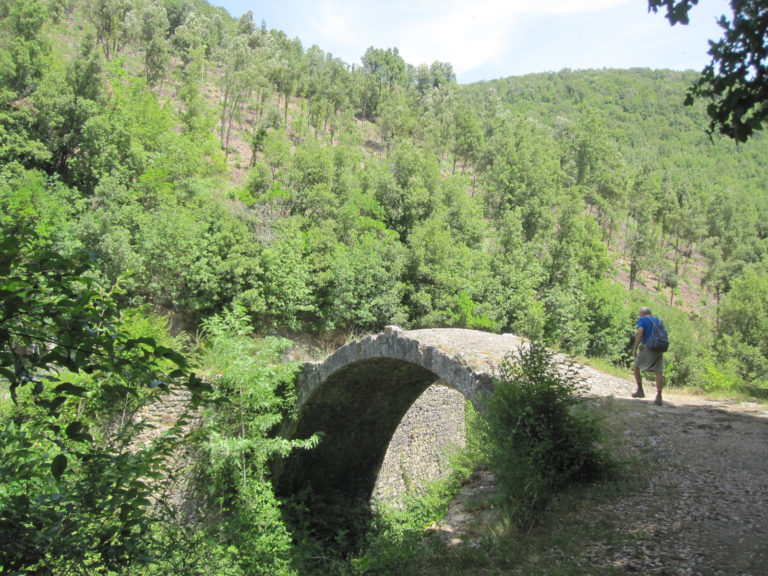 Brücken bauen kann man nur im Tal