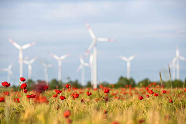 Einigung auf naturverträglichen Ausbau der Windkraft