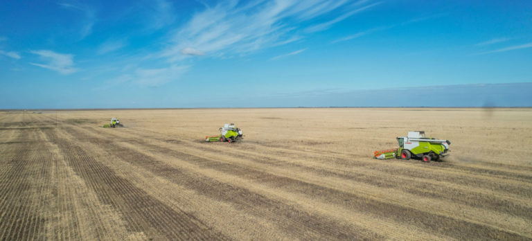 Felder so groß wie die Nordsee