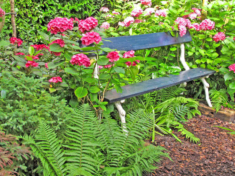 Blatt- und Blütenschmuck für den Schatten