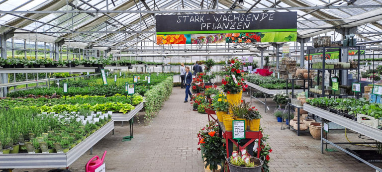 Sommerblumentag im Gartenbauzentrum