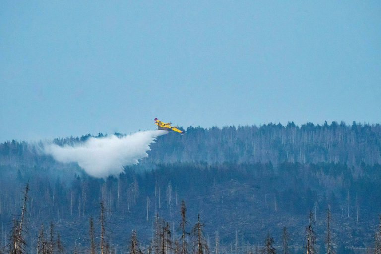 Waldbrandgefahr in Mitteleuropa wird weiter steigen