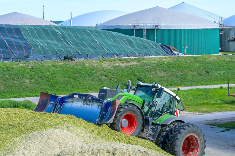 Habeck kündigt Biomassepaket an