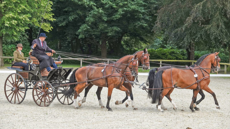 Fahrfest des Nordens in Bad Segeberg