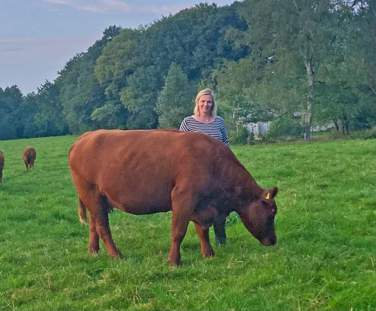 Bestes Fleisch in regionaler Vermarktung