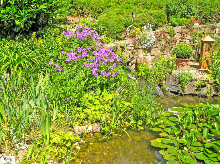 Mehr Natur im Garten