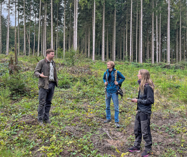 Wie ein klimaresilienter Mischwald entsteht