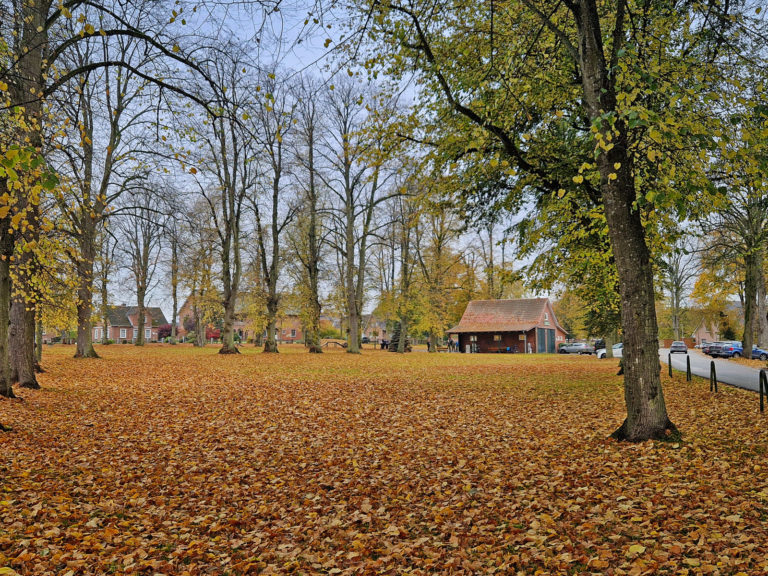 Orte, an denen Heimat entsteht