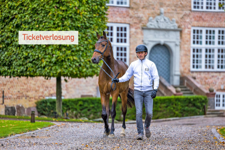 62. Trakehner Hengstmarkt in den Holstenhallen von Neumünster