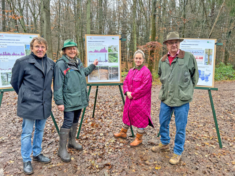 Schleswig-Holsteins Wälder brauchen Vielfalt