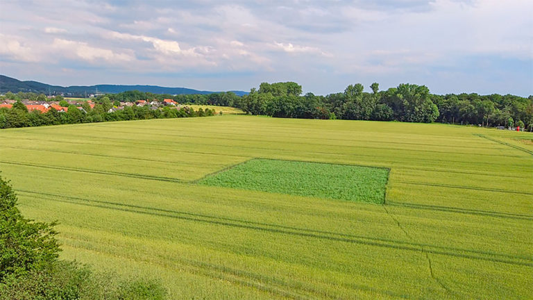 Deutscher Bauernverband setzt im Naturschutz auf Kooperationen