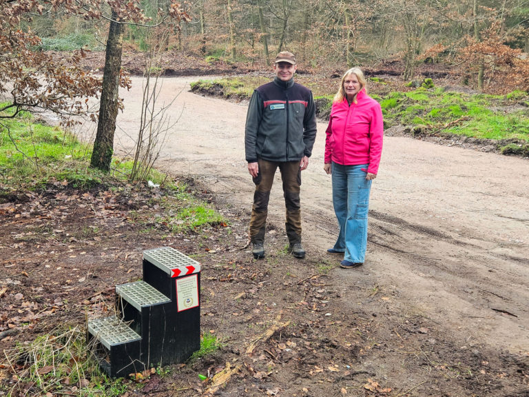 Neuer Parkplatz für Pferdeanhänger im Trappenkamper Forst