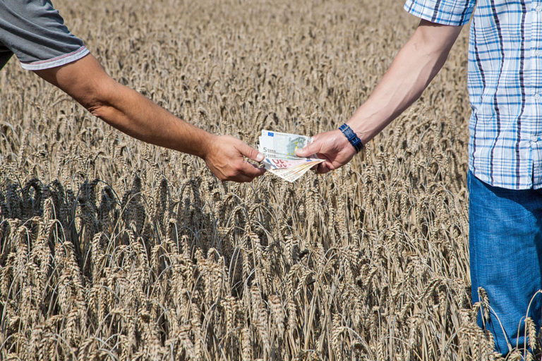 Niedrige Erlöse für Getreide und Zucker