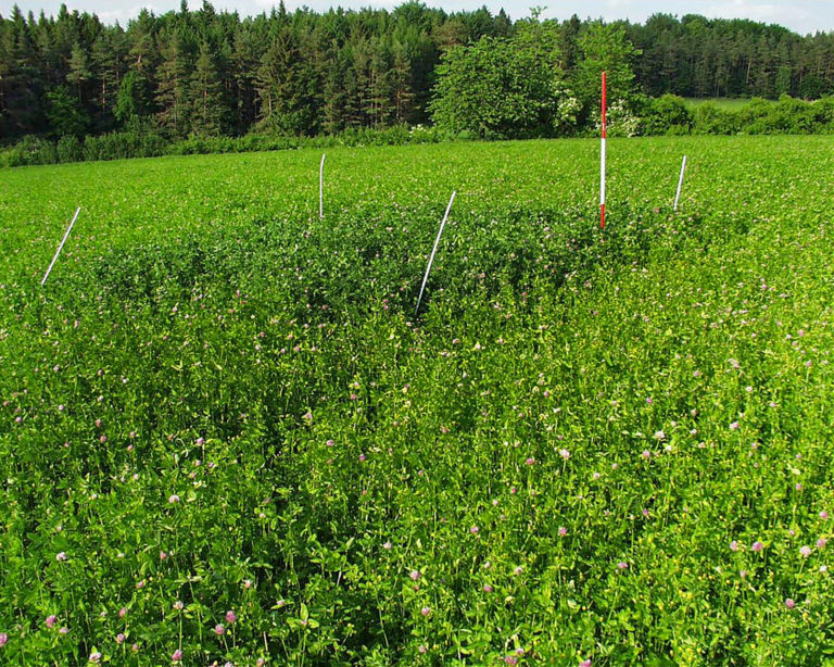 Kalziumsulfate erweitern Sortiment im Ökolandbau